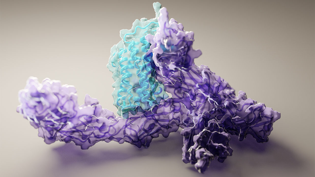Protein structure modeling